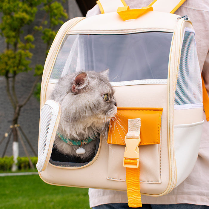 Fashionable Simple Contrast Color Pet Bag