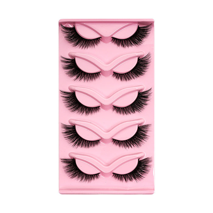 Women's One-piece Five-pair Cat Eye Oblique Flying Stage Makeup Thick Cat Eye Eyelash